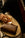 INDIAN WHISKIES ON THE WORLD STAGE