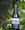 Fratelli Sangiovese