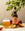 L74 Craft Apple Cider