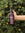 Maka Di Belgian Tripel